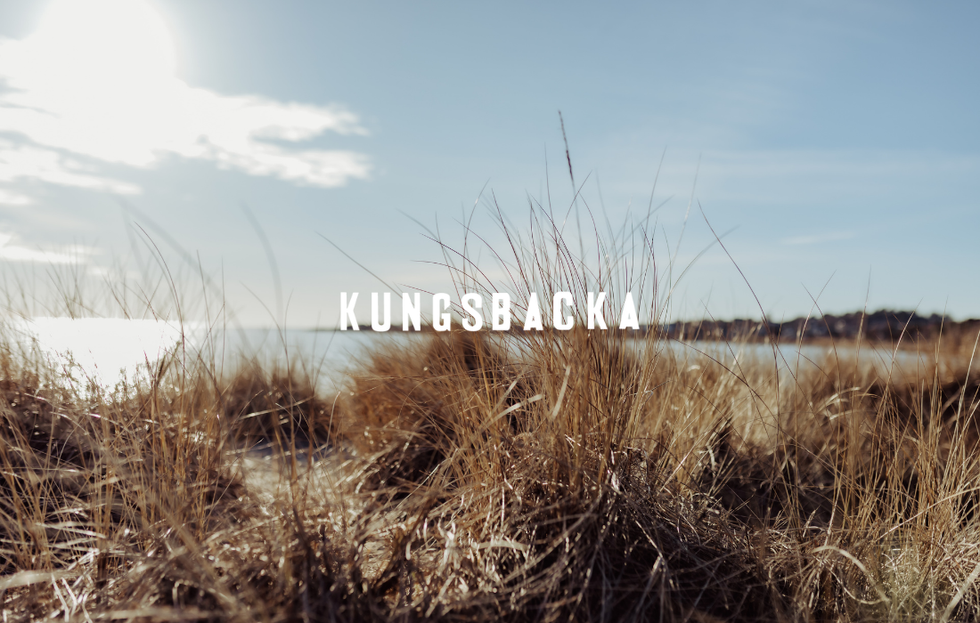 Bild på vass med havet i bakgrunden, Vita Sand i Åsa